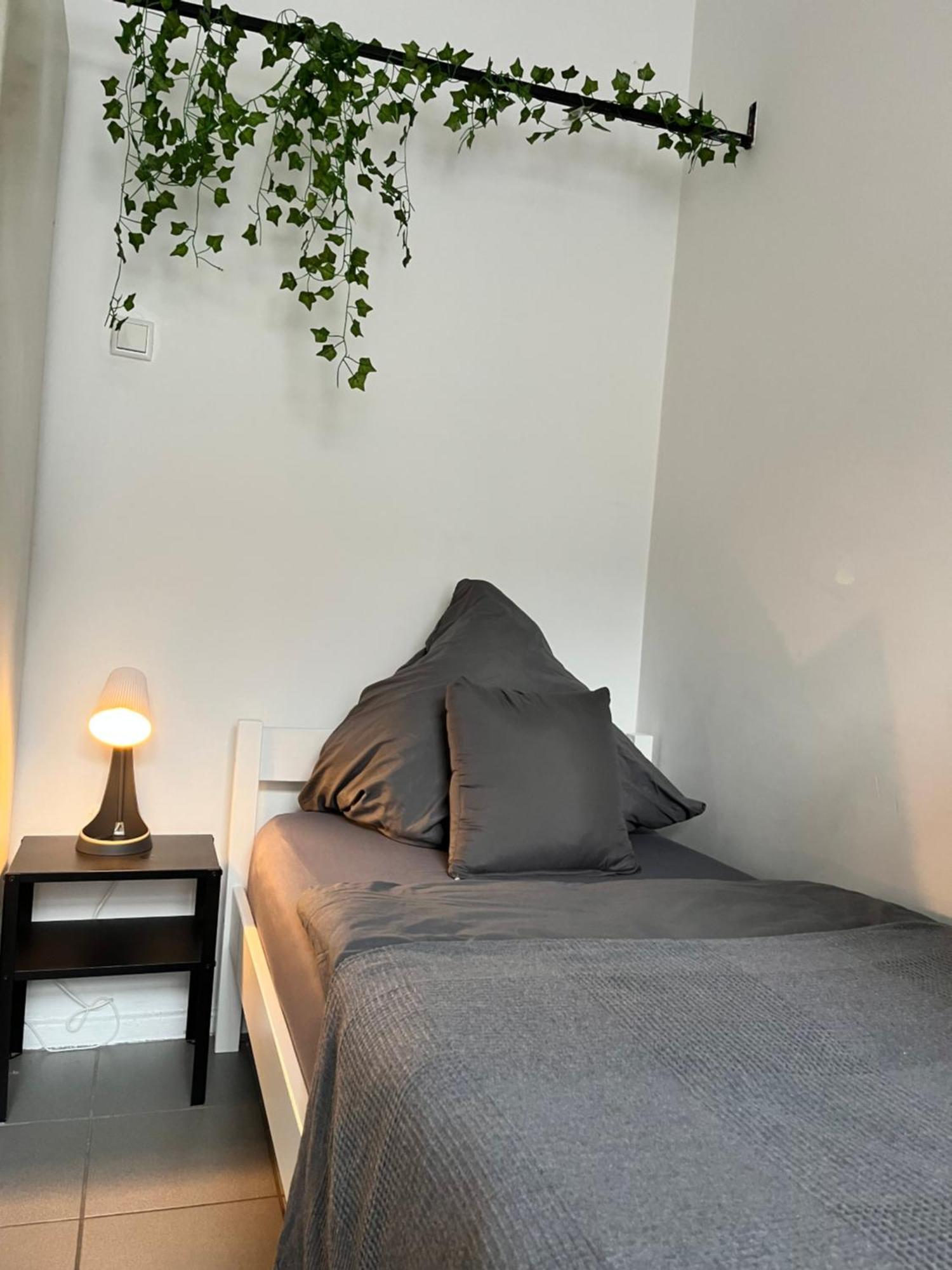 Apartment Central 10D 55Qm Wi-Fi Free Parking Calm Back House Dortmund Eksteriør billede
